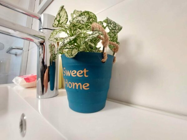 H2 – HABITACIÓN CUÁDRUPLE, PLANTA BAJA