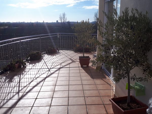H6 – SUITE CUÁDRUPLE CON TERRAZA